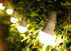 LED Light Bulbs Buying Guide: Buy With Confident