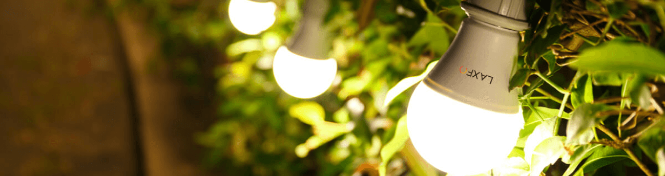 LED Light Bulbs Buying Guide: Buy With Confident