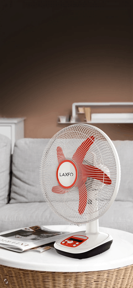 LAXFO: Where talent shines bright